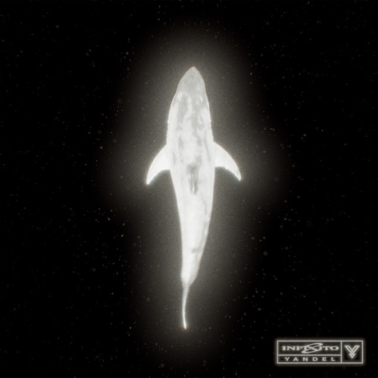 Rondando - Yandel, Kapo